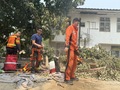 ミャンマー・マンダレーで共同救援活動に当たる中国救援隊と中国香港特区救援隊の隊員（2025年4月1日撮影）。(c)Xinhua News