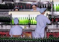 中国東部・青島にある青島ビールの工場（2002年2月18日撮影、資料写真）。(c)AFP