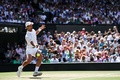 テニス、ウィンブルドン選手権、男子シングルス決勝。リターンを打つノバク・ジョコビッチ（2022年7月10日撮影）。(c)Adrian DENNIS / AFP