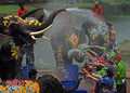 タイでは旧暦の元旦にあたる13日を前後し、旧正月の水かけ祭り「ソンクラーン（Songkran）」が行われている。写真はアユタヤ（Ayutthaya）県で11日に行われたソンクラーンで、外国人観光客に水をかけるゾウ（2011年4月11日撮影）。(c)AFP/PORNCHAI KITTIWONGSAKUL