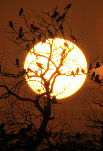 ラホールに沈む太陽、パキスタン