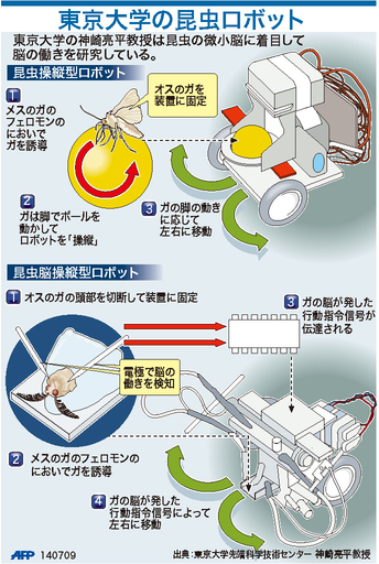 【図解】東京大学の昆虫ロボット