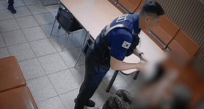 ソウル道路の真ん中で苦痛訴えた女性…スズメバチの群れに攻撃されていた