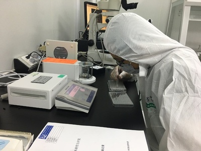 中国探査機が持ち帰った月の土壌から新鉱物 「米1粒」の大きさから発見