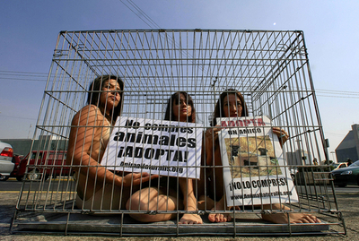 「捨てられた動物を引き取ろう」、檻に入ってペット売買に反対　メキシコ