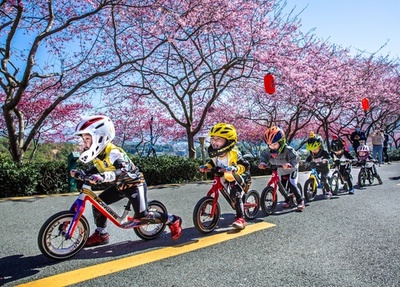 【写真特集】満開の桜や優しい日の光、風景で感じる春の訪れ