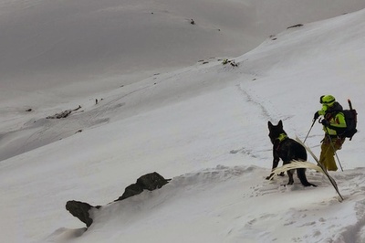 ヘリと軽飛行機が衝突し7人死亡 イタリアの氷河上空
