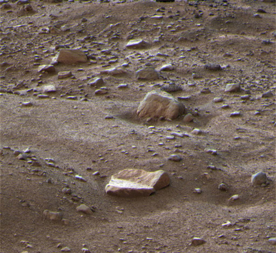 火星探査機「フェニックス」、交信断絶前に撮影した火星の岩 NASA
