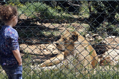 「私の生きがいはあなた人間次第」