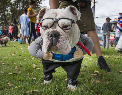 【写真特集】世界のどうぶつパラダイス2019　PART3