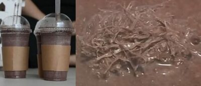 韓国カフェの「プラスチック片混入」スムージー問題、結局、店は謝ったが…当局の摘発は難しく