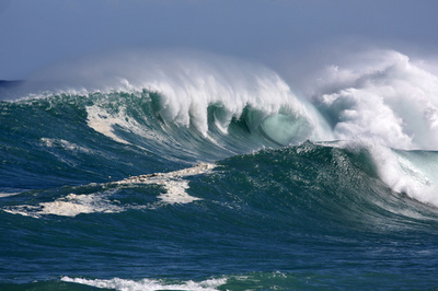 地球史上最大の絶滅、海洋酸性化が原因か 研究