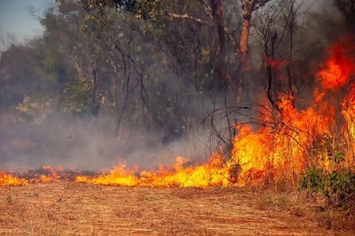 アリへの仕返しで放火 中国貴州省の69歳の女性に実刑判決