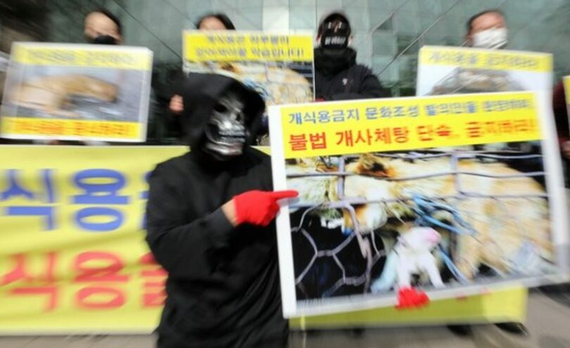「犬食用禁止」を求めパフォーマンスを繰り広げる動物保護団体の会員ら(c)news1