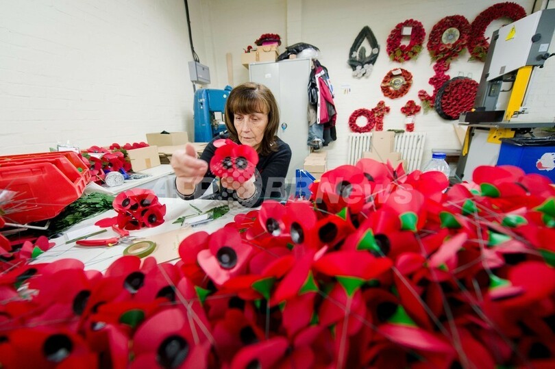 英戦死者を追悼する「赤いポピー」