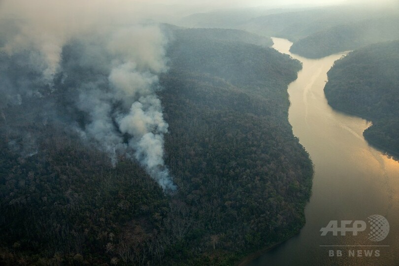 アマゾンで大森林火災、2か月延焼 違法伐採業者が放火か