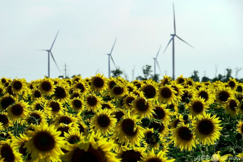 ウクライナ東部の農場、ロシアに穀物販売