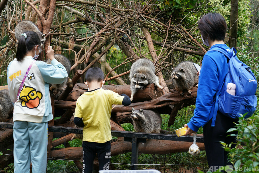 動物の王国、世界の花園 野生動植物を保護する中国雲南省 写真1枚 国際