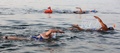 ヨルダンからからイスラエルまで死海を泳いで渡る人たち（2016年11月15日撮影）。(c)AFP/Gali TIBBON