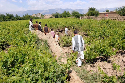 タリバン、バグラム米空軍基地を襲撃 アフガニスタン