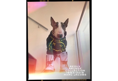 「マーク ジェイコブス」コダックとコラボ、カメラアプリ発表