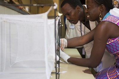 せっけんでマラリア蚊を撃退、ブルキナファソでの取り組み