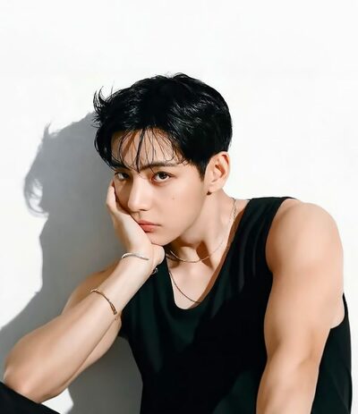 BTS V、“入門を誘う魔性の男アイドル”ランキング1位に