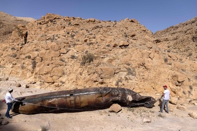 【今日の1枚】弾道ミサイルを検分、砂地にクジラのような物体 イスラエル