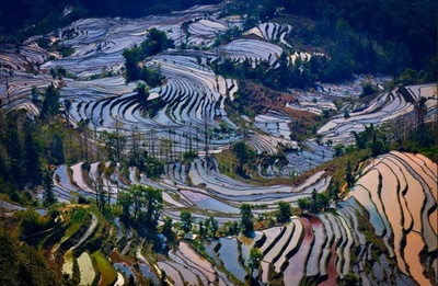 観光天国「七彩雲南」が春の訪れを迎え、日本の観光客をお待ちする