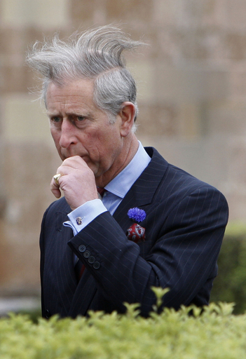 北アイルランドでガーデンパーティ、英皇太子も出席