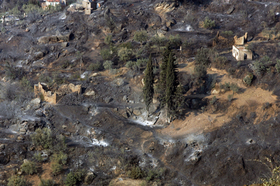 熱波和らぐも火災拡大、放火の疑いも