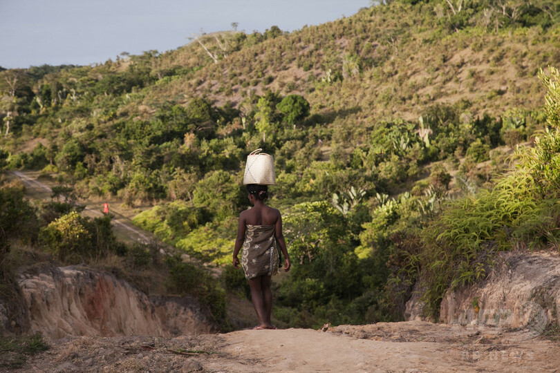 「バニラ景気」に沸くマダガスカルの熱狂と苦悩