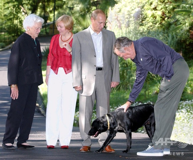 写真特集 ロシアのプーチン大統領がみせる 愛犬家 の顔 写真30枚 国際ニュース Afpbb News