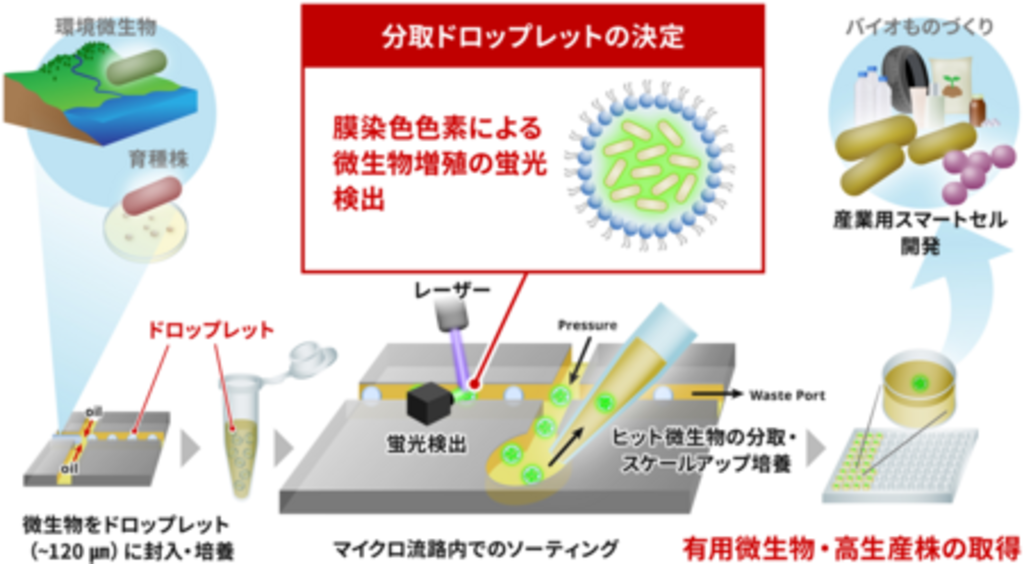 Biosample 概要 _ Biosample 書き方 _ BioSample、DRA Experiment、Run とデータファイルとの ...