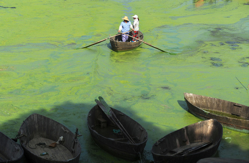 img_0fd41fac5ad01b93ba50c6e349