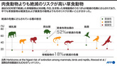 草食動物、肉食動物より絶滅リスク高い 研究