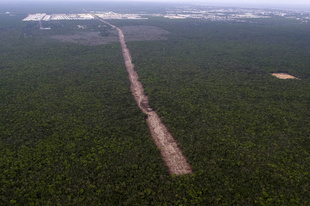 マヤ観光鉄道 「絶景の泉を破壊」と環境活動家 メキシコ