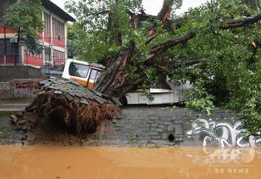 リオデジャネイロで豪雨災害、10人死亡 写真15枚 国際ニュース：AFPBB News
