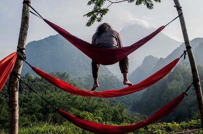 【今日の1枚】ハンモックが指定席