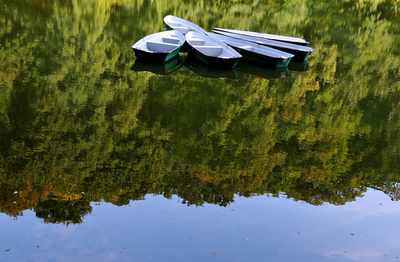 水面の鏡に映る山の木々、スロバキアの秋の湖