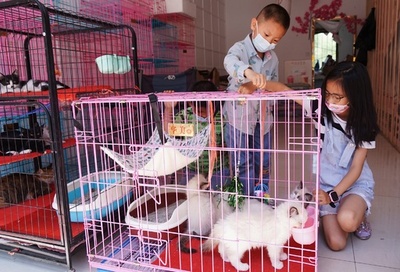 価格競争の末… トラブル続出の「ペットの無料里親」