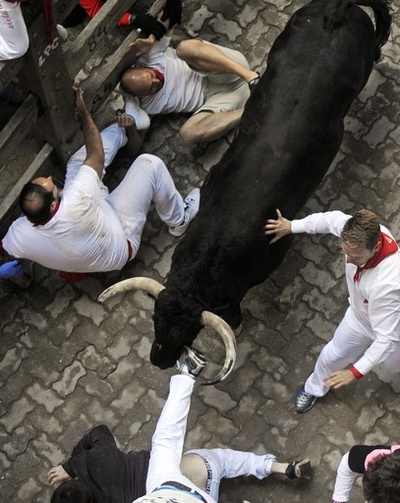 激しい牛追いに熱狂、スペイン「サン・フェルミン祭」