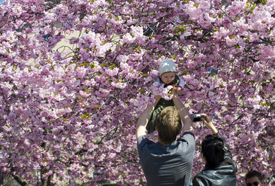 子ども尊重は行き過ぎか否か？スウェーデンで議論