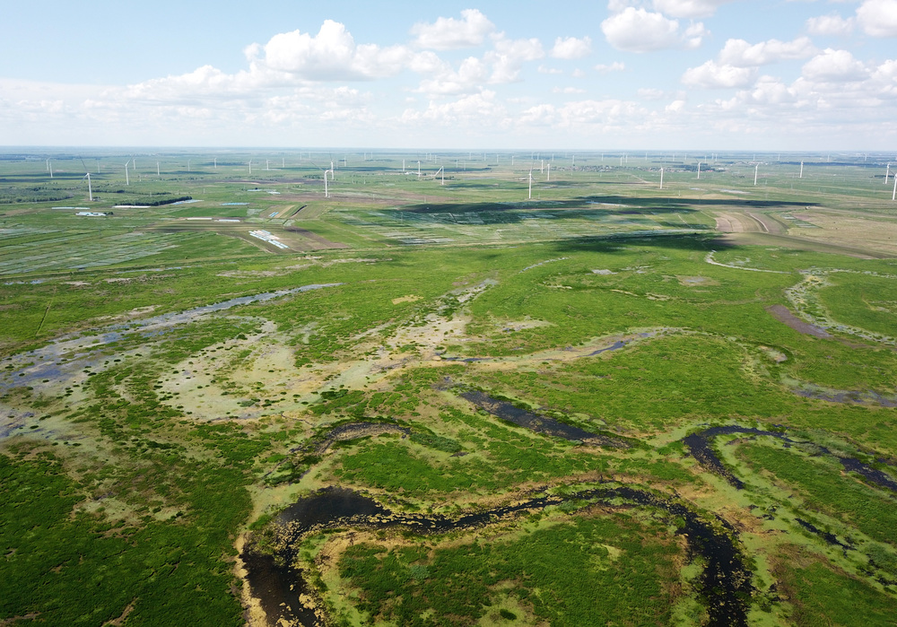 湿地に広がる爽やかな夏景色 黒竜江省チチハル市 写真10枚 国際ニュース:AFPBB News
