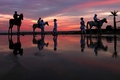 アラブ首長国連邦（UAE）の首都アブダビで、夕焼け空の下、馬に乗る人々（2022年2月8日撮影）。(c)Karim SAHIB / AFP