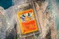 イェンス・イショイ・プレーンさんがコレクションとして持つ最も高価なポケモンカード。デンマーク・ニボで（2022年11月25日撮影）。(c)Ida Marie Odgaard / Ritzau Scanpix / AFP