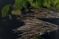 ブラジル北部アマゾナス州、アマゾン川支流のマナカプル川で憲兵隊に押収された材木（2020年7月16日撮影）。(c) Ricardo Oliveira / AFP