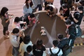 アイボに注目する来場者（2019年4月19日撮影）。(c)CNS/崔楠