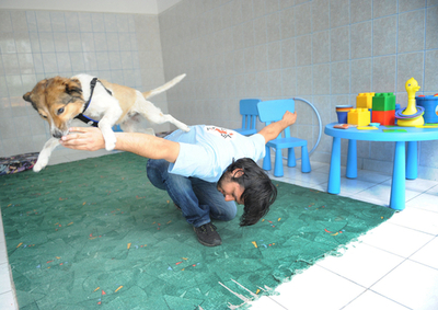 ルーマニア政府が野犬の処分検討、賛否めぐり激論に