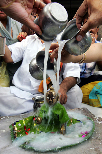 クリシュナ神にささげるミルク、印ヒンズー教祭り「ジャンマシュタミ」